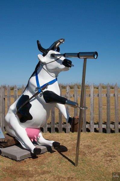 AustraliaPerth 10  038-1